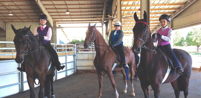 Horse Riding Lesson in Brunswick, GA						
