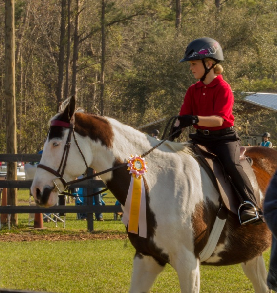 Horseback Riding Camps & Lessons near Jacksonville, FL ...