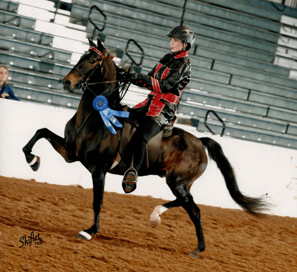 Horse Boarding program Brunswick GA